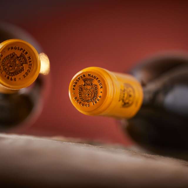 Château de Saint-Aubin - Maison Prosper Maufoux : Expérience Grands Crus