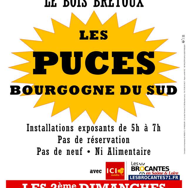 Puces Bourgogne du Sud
