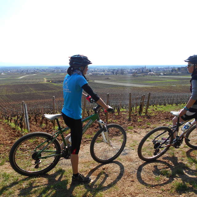 Rando VTT des Vignes "Côte de Nuits"