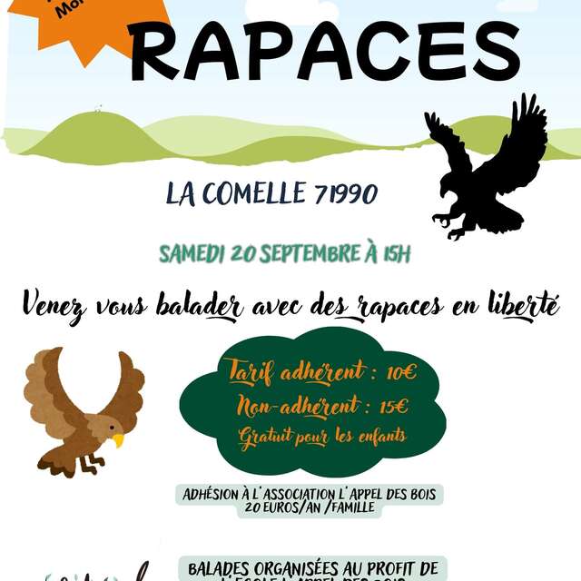 Rando Rapaces