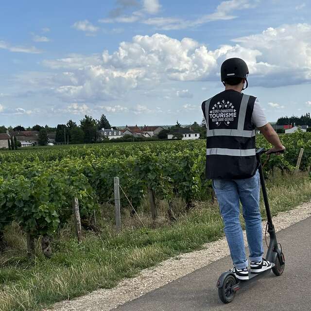 Balade commentée en trottinette électrique au milieu des Grands Crus