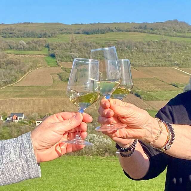Les Climats vu des Hautes Côtes- Visite guidée thématique
