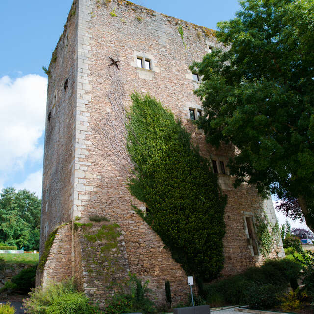 Musée du Donjon - Musée Raymond Rochette