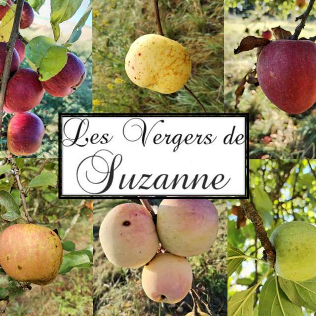 Les Vergers de Suzanne-Genin Antoine