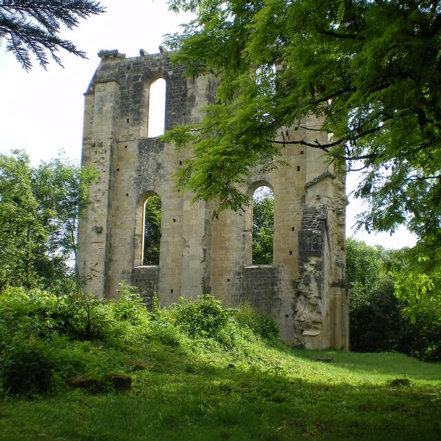 Vestiges de l'Abbaye de Cherlieu