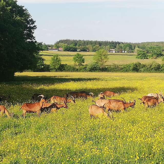 Visite-découverte de la ferme de Joël Poulain
