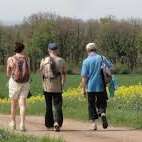 Circuit pédestre La Baume Noire