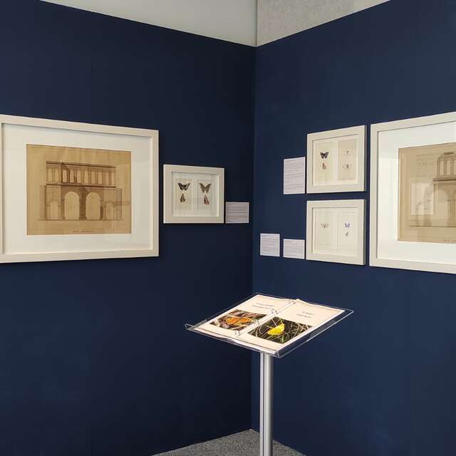 Exposition temporaire : Hommage à Jean Roidot-Déléage