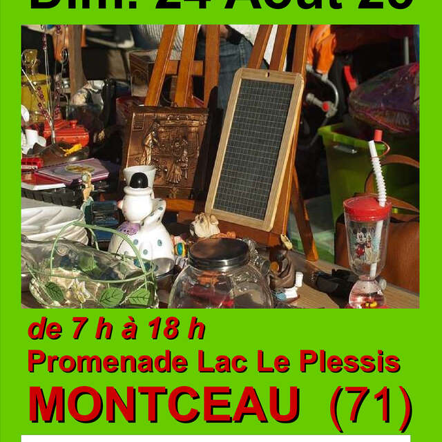BROCANTE VIDE-GRENIERS du Plessis