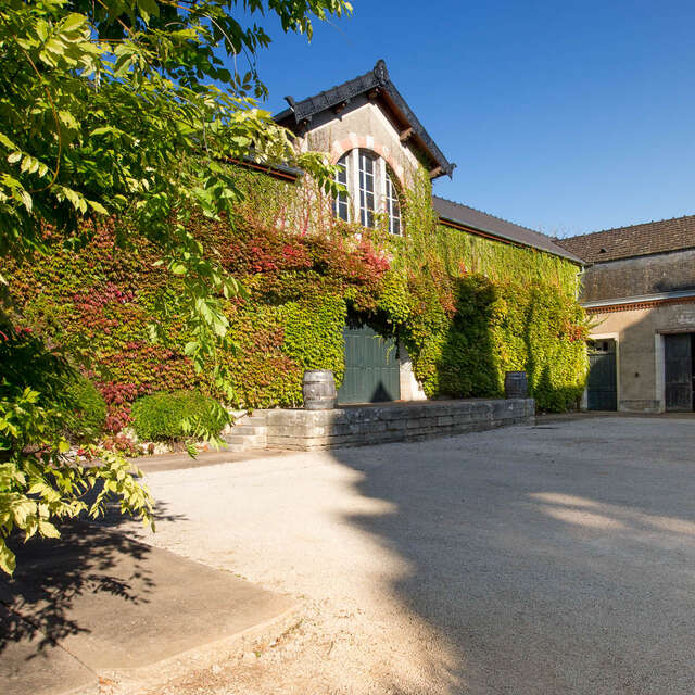 Portes ouvertes au Domaine Albert Morot