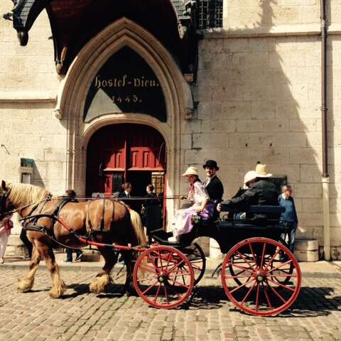 Attelage Beaune Passion - Balade 