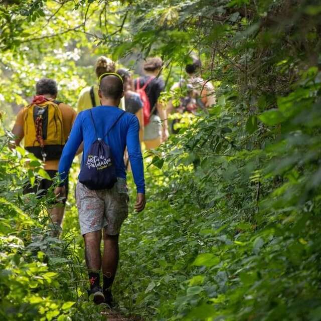 Balade forestière à Anost