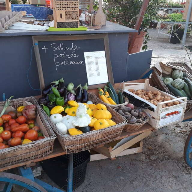 Le bois fleuri