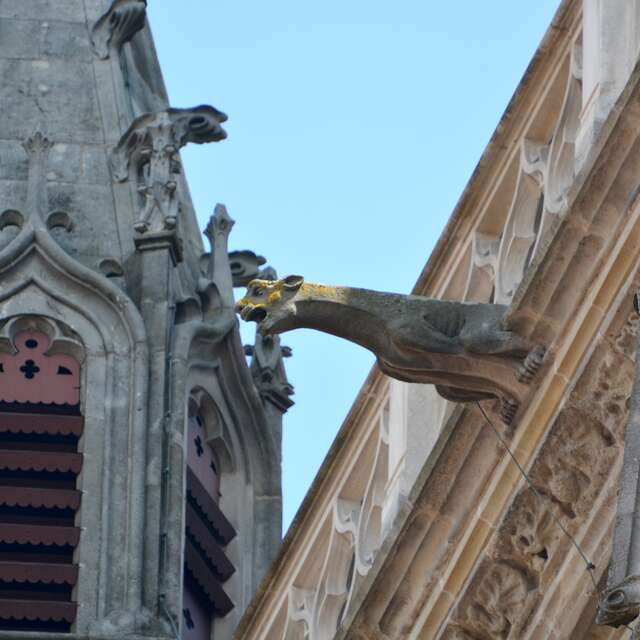 Les animaux fantastiques de la cathédrale Saint-Lazare d'Autun