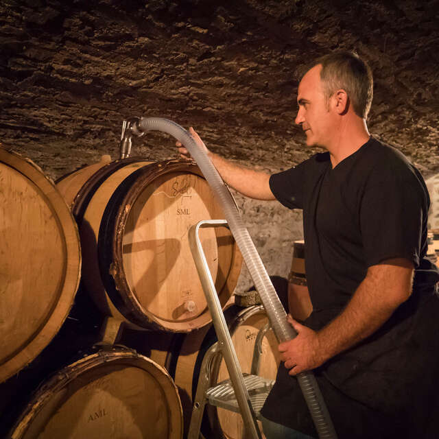 Domaine Ravaut Pierre