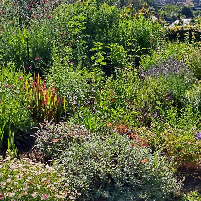 Journées portes ouvertes de jardins en pépinière à Cussy-en-Morvan