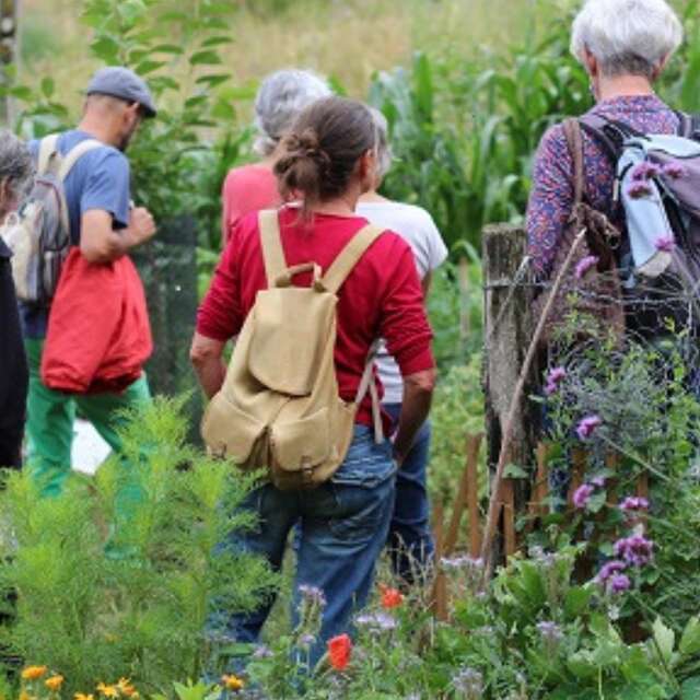 Découvrez la forêt-jardin