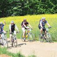 VTT dans les Monts de Gy : Circuit 57 "La ferme de Courbey"