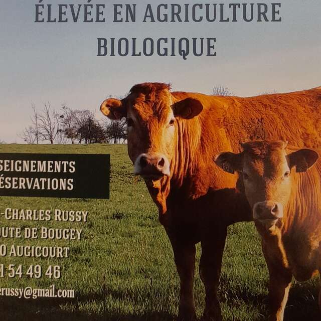 Élevage Russy