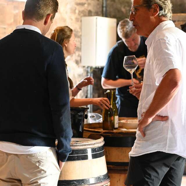 Concert et dégustation des vins du Couchois - Vignobles en scène