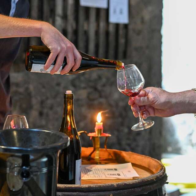Soirée quiz et dégustation - Vignobles en scène