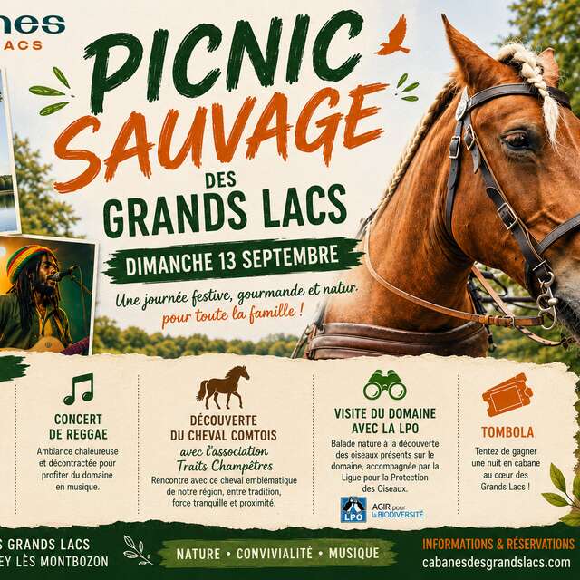 Picnic Sauvage des Grands Lacs
