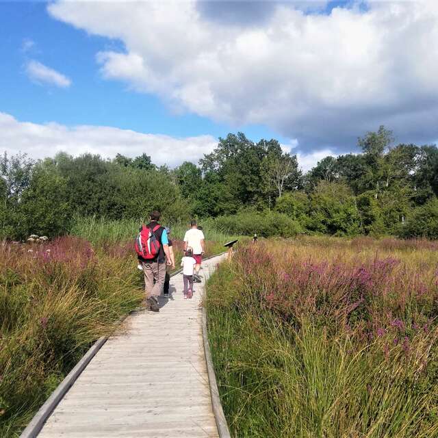 Parcours d'orientation au marais du Pont des Morands
