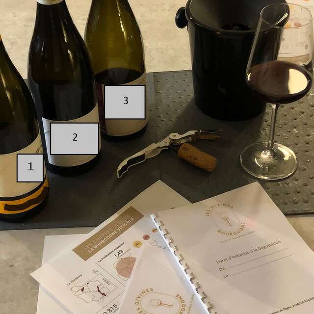 Plaisirs sensoriels et accords mets-vins