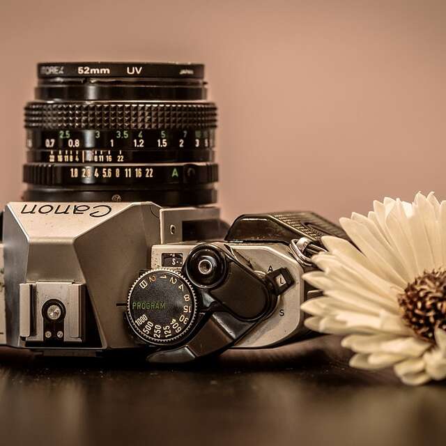Labo photo végétal - Atelier 4-6 ans