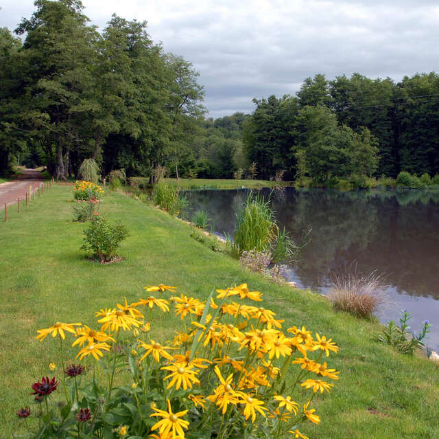 Les étangs et les fontaines