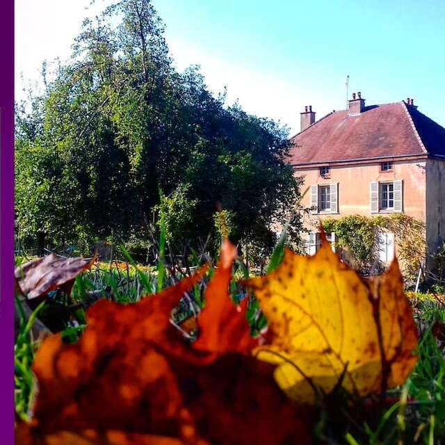 Le Manoir des vieilles vignes