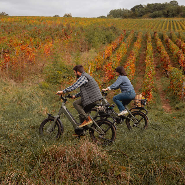 Location de vélos - Les Cabottes