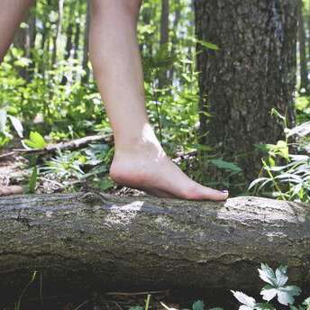 Morvan Autrement : Le Sud Morvan c'est le pied !