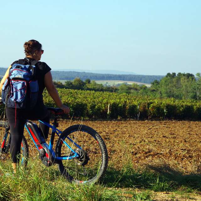 La Pierre qui Vire - n° 19