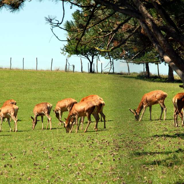 Le Ranch