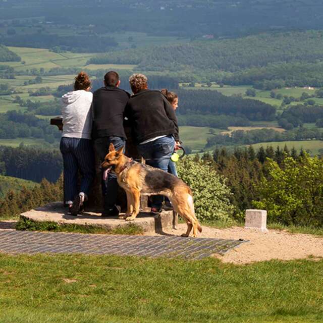 Toutou't'à pied : une balade qui a du chien à Bibracte !