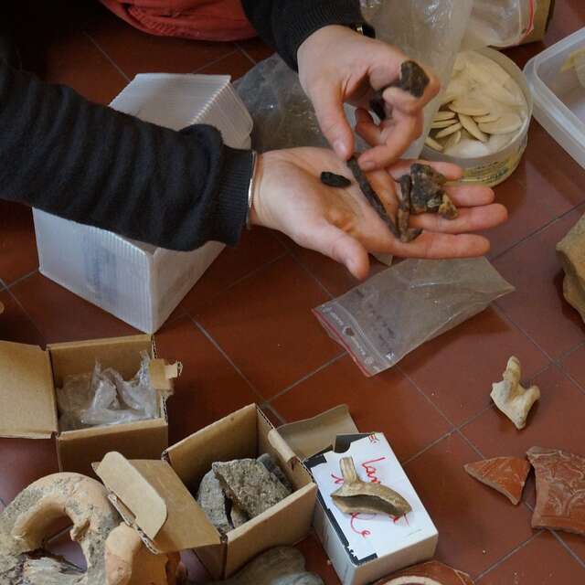 Les vacances des 7/12 ans