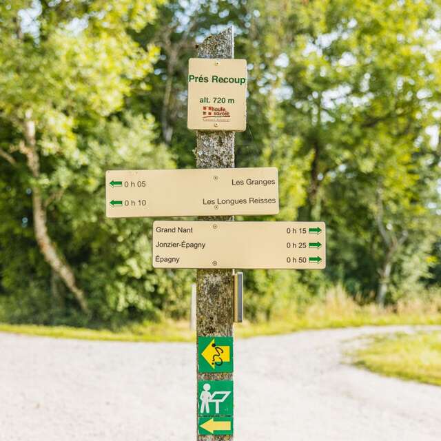 Boucle pédestre : le sentier nature du Vuache