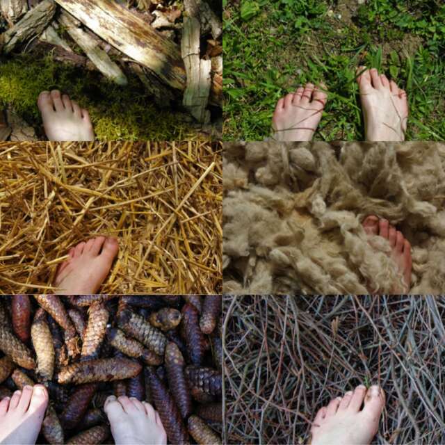 Parcours pieds nus : Nature et Sens