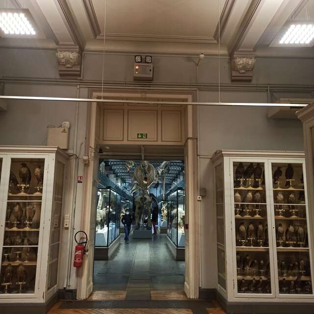 Musée d'Histoire Naturelle
