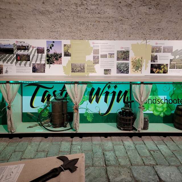 Le musée des vendanges "Jean-Pierre Pinceel" à Hondschoote