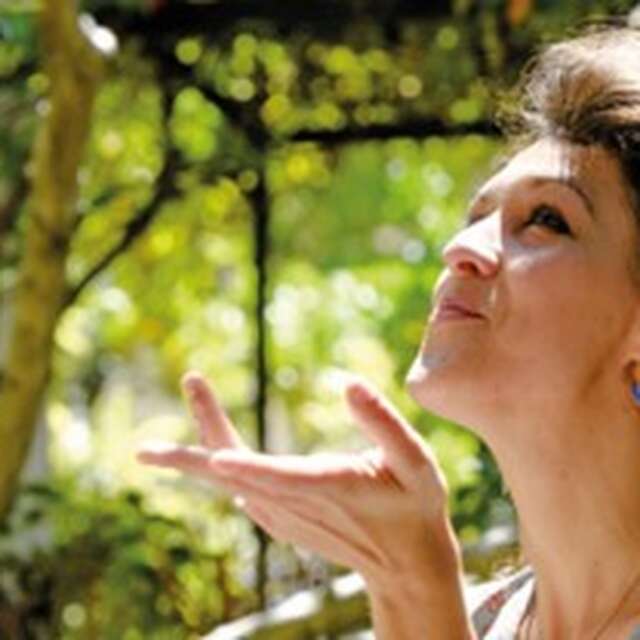 Le printemps des poètes 2026 : Le train poétique