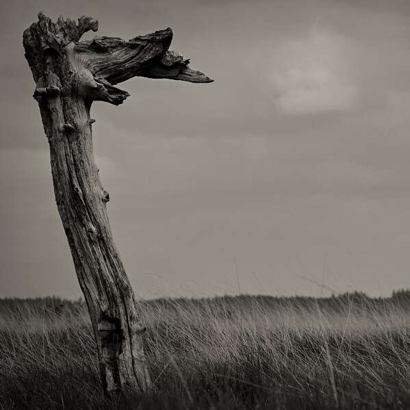 Exposition photo : "ombres de vie, ombres d'acier" à Valenciennes