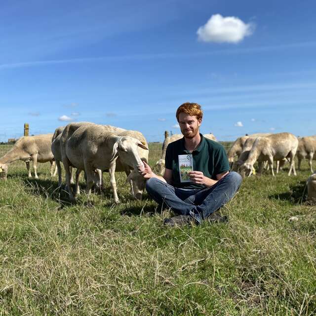 Ferme de l'Haezepoël - Bêl'ici, glaces fermières