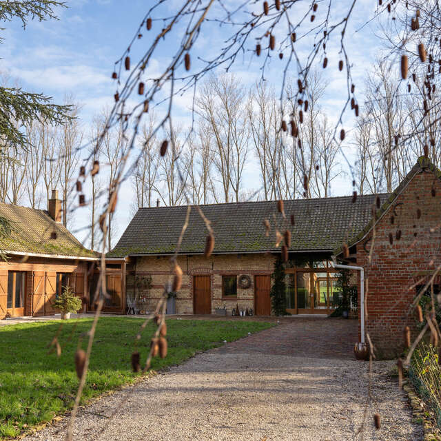 Domaine Butterfly