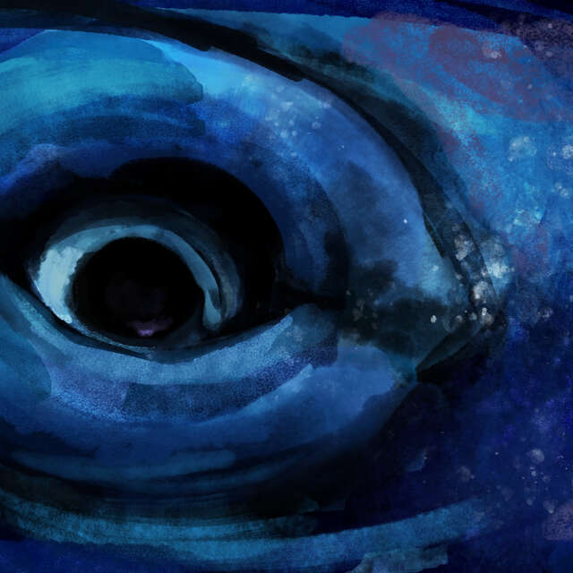 Spectacle "Lucienne Eden ou l'ile perdue"