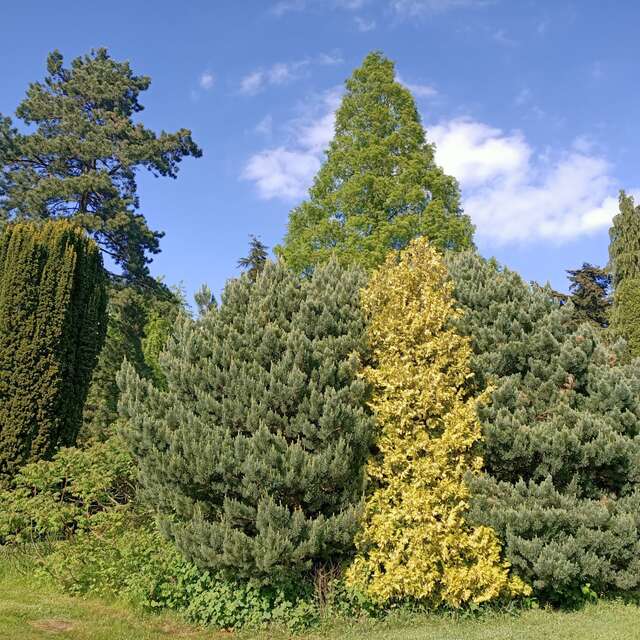 Parc Arboretum du manoir aux loups