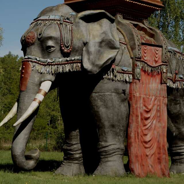 Spectacle 100% famille "Mémoires d'éléphant" au phénix