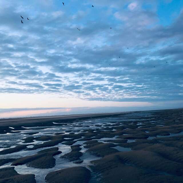 Aventure sonore"Ocean-Mémoire" au phénix