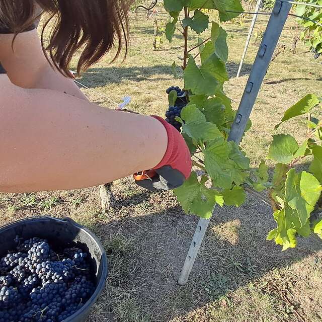 APEI du Valenciennois - Les Coteaux de l'Escaut